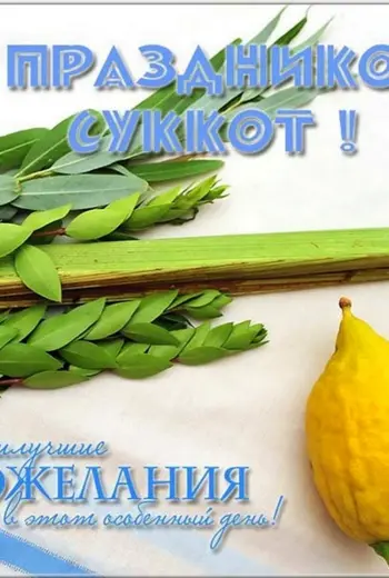 Хаг Суккот Самеах