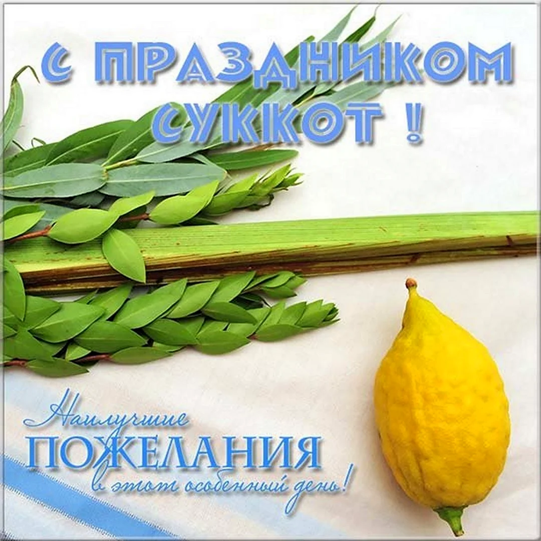 Хаг Суккот Самеах