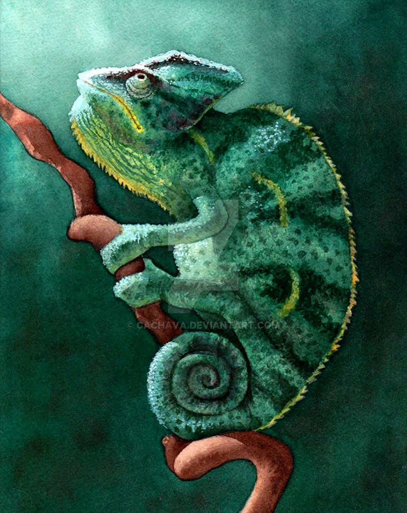 Хамелеон картина
