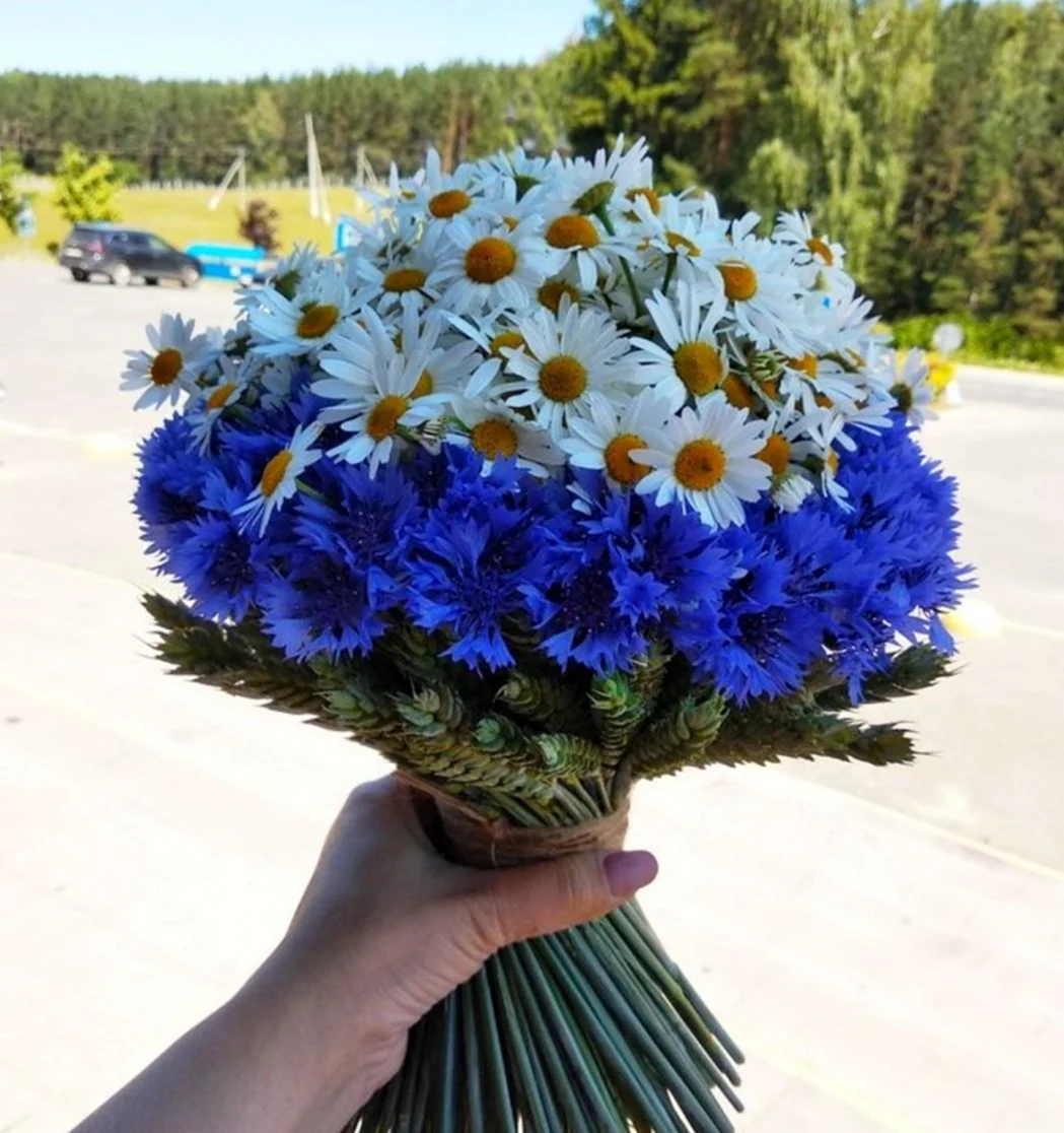 Ханс Эмменеггер букет Васильков