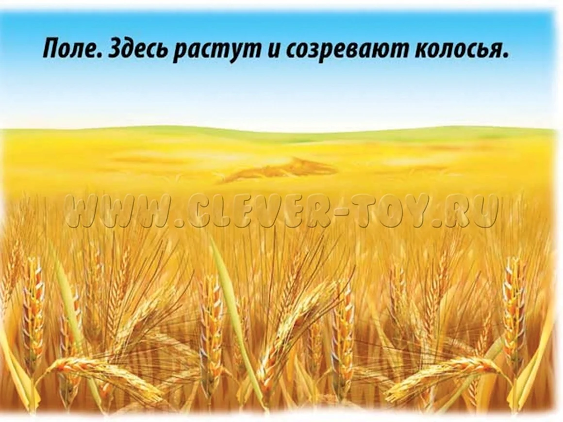 Хлеб для детей