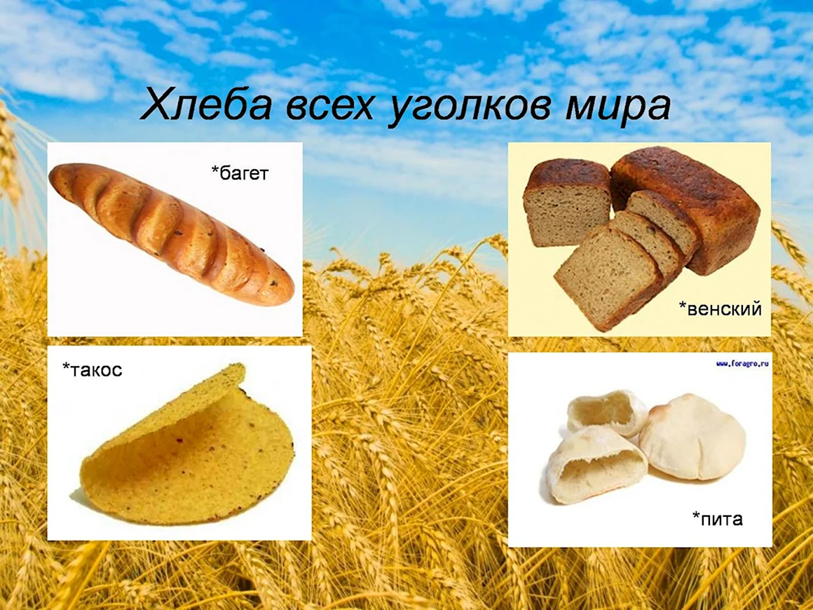 Хлеб для дошкольников