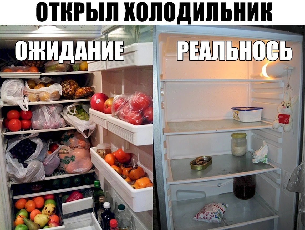 Холодильник прикол