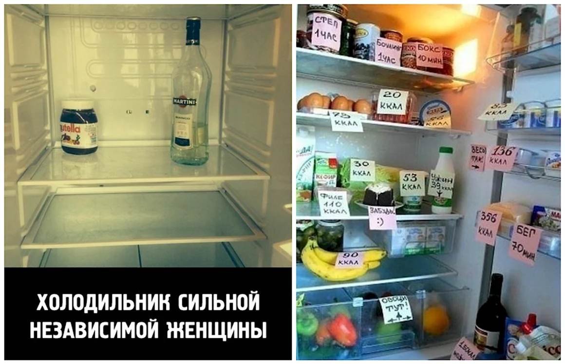 Холодильник сильной и независимой