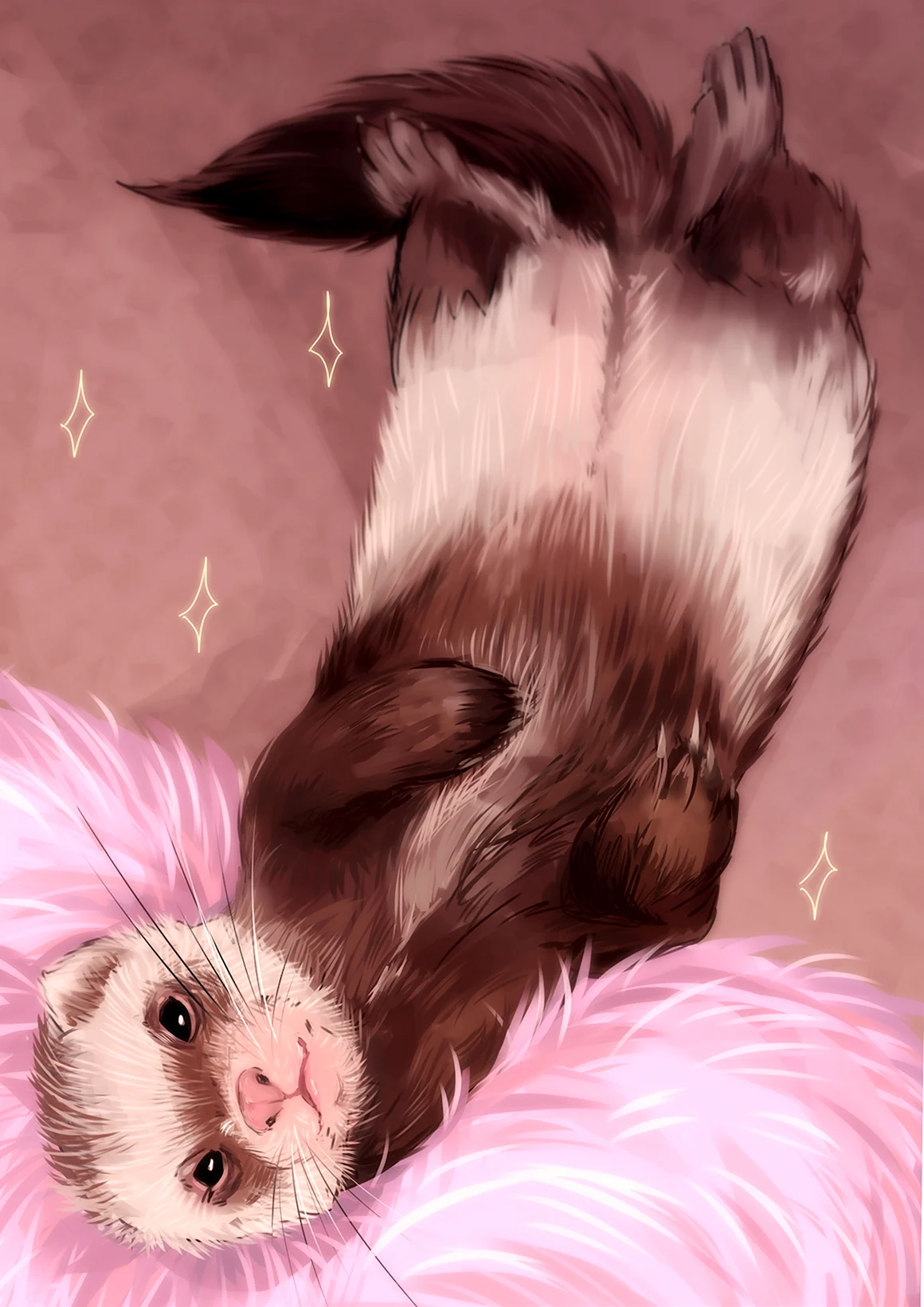 Хорек