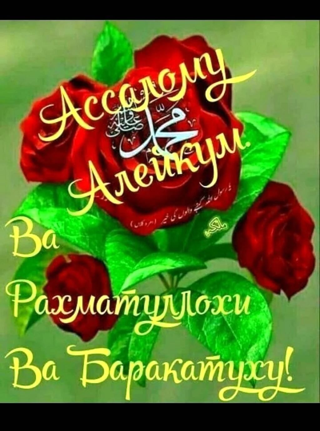 Хорошего дня Ассаляму алейкум