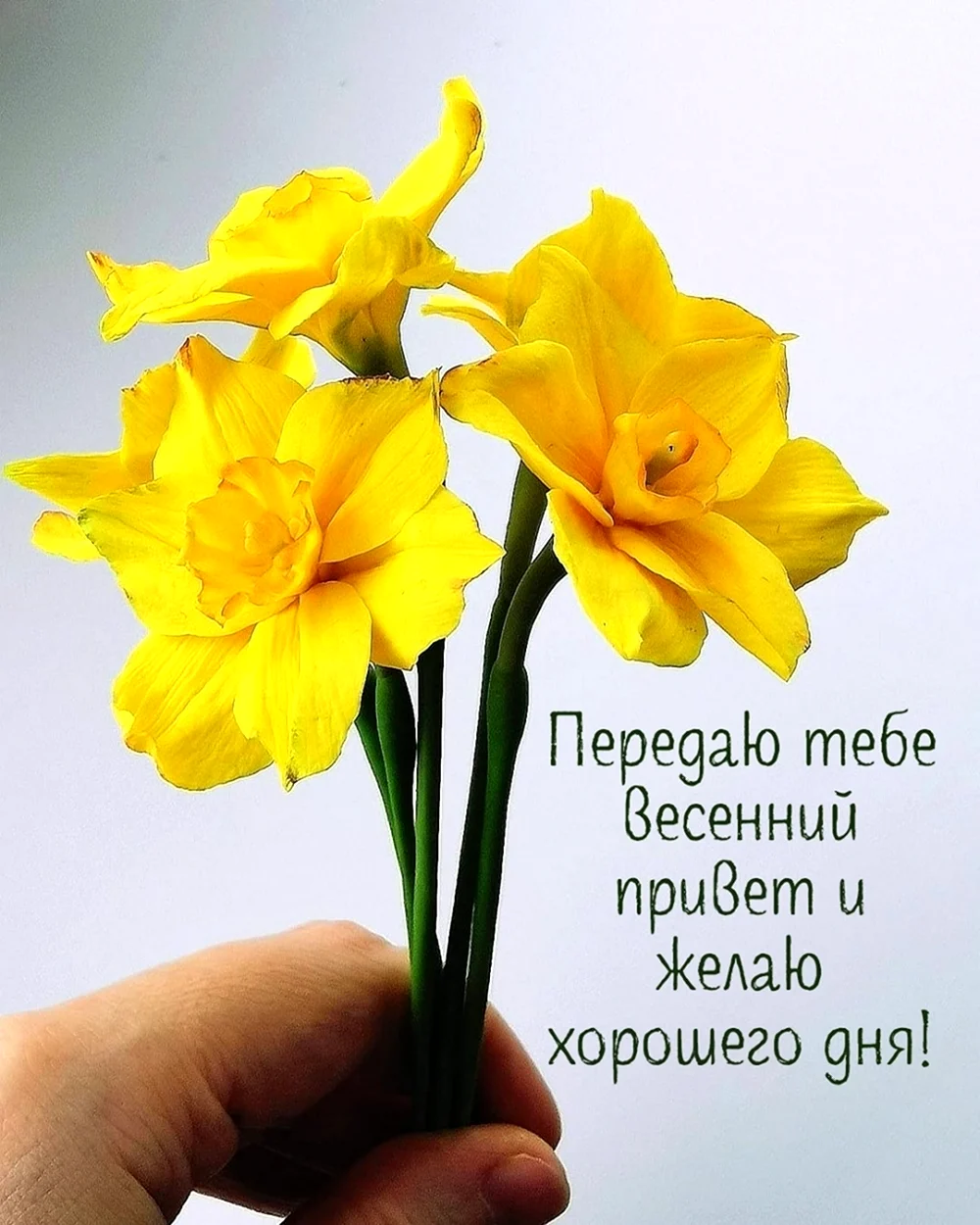 Хорошего дня картинки Весна