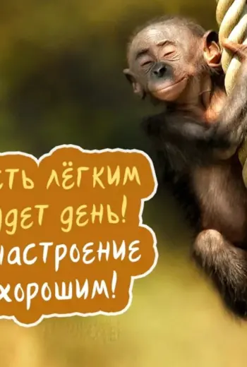 Хорошего дня прикольные