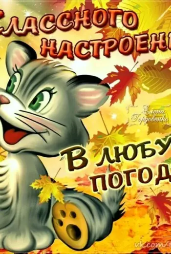 Хорошего настроения в любую погоду