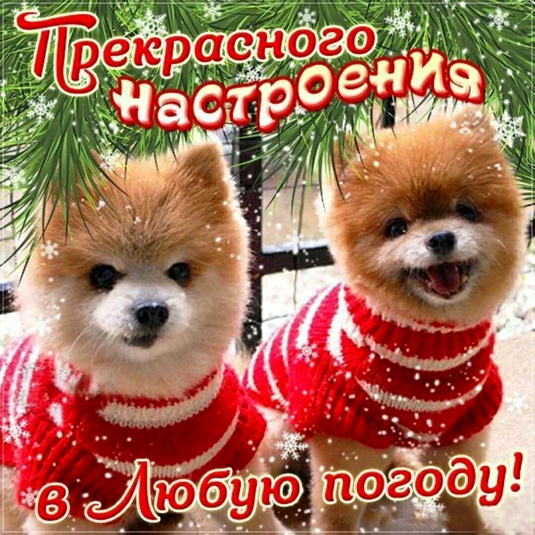 Хорошего настроения в любую погоду