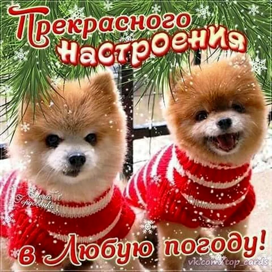 Хорошего настроения в любую погоду
