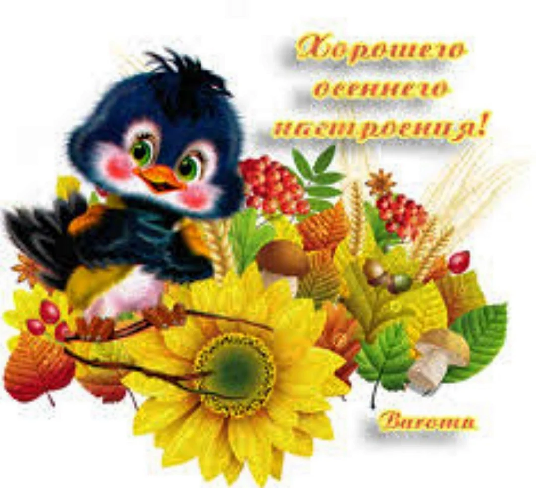 Хорошего осеннего настроения