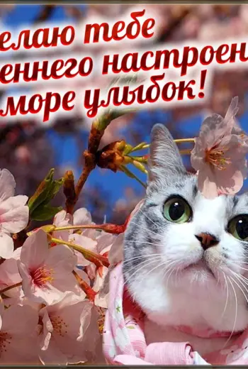 Хорошего весеннего дня