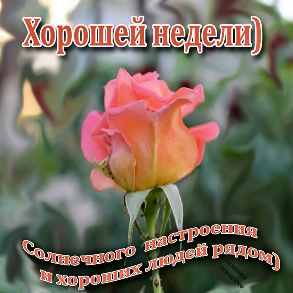 Хорошей недели
