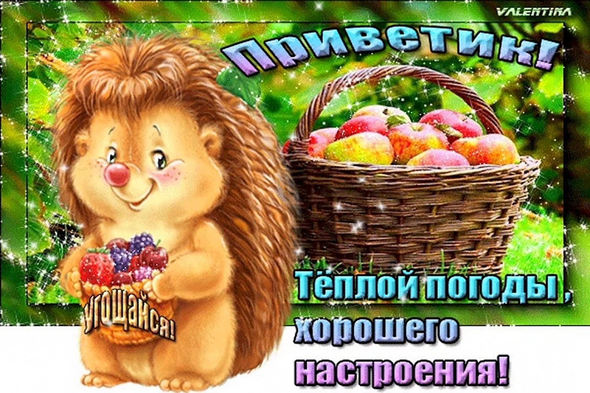 Хорошей погоды и отличного настроения