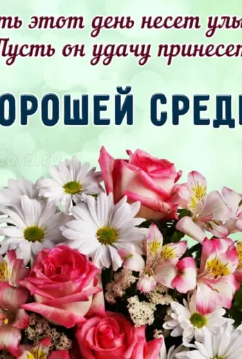Хорошей среды