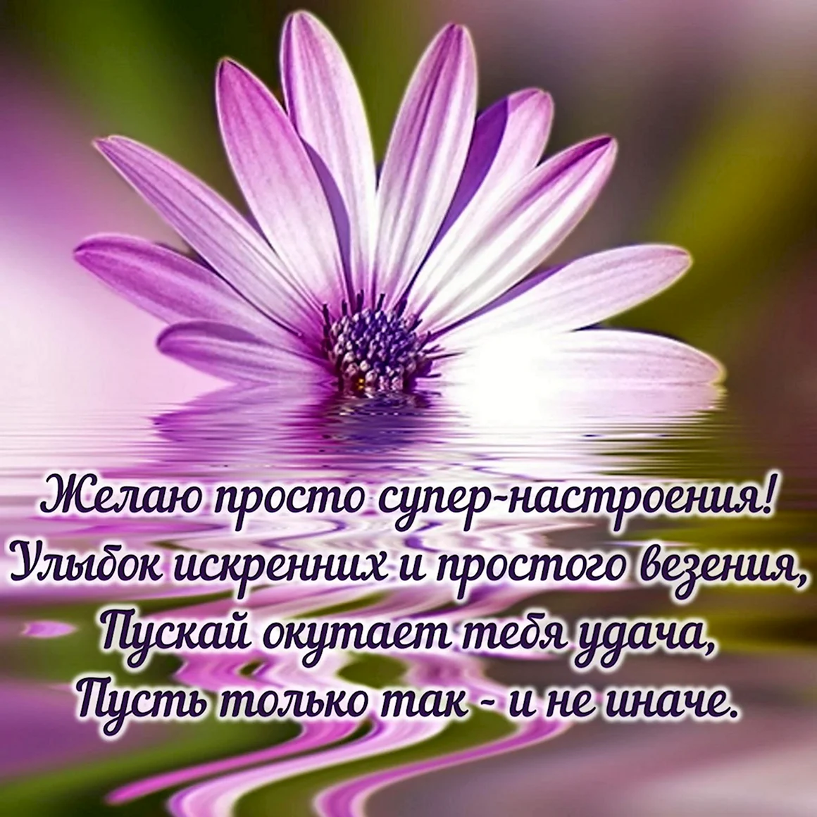 Хорошие пожелания