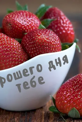 Хороший день
