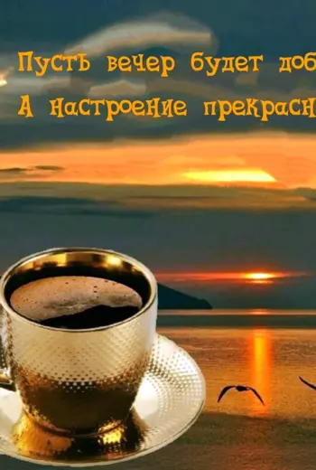 Хороший вечер