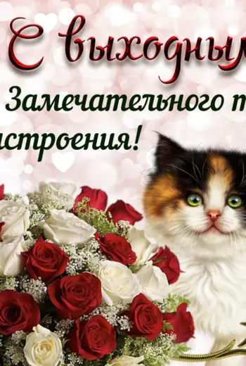 Хороших выходных