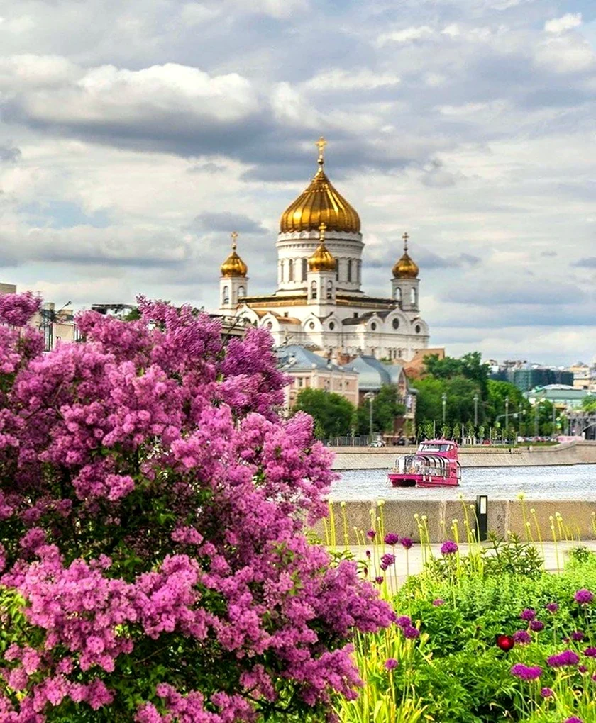 Храм Христа Спасителя цветут деревья
