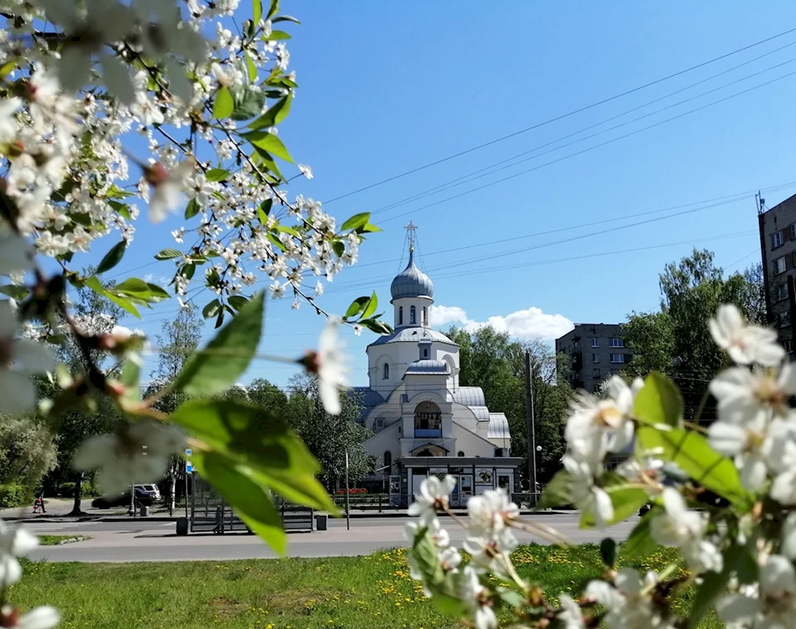 Храм Тихвинской иконы Божией матери на Софьи