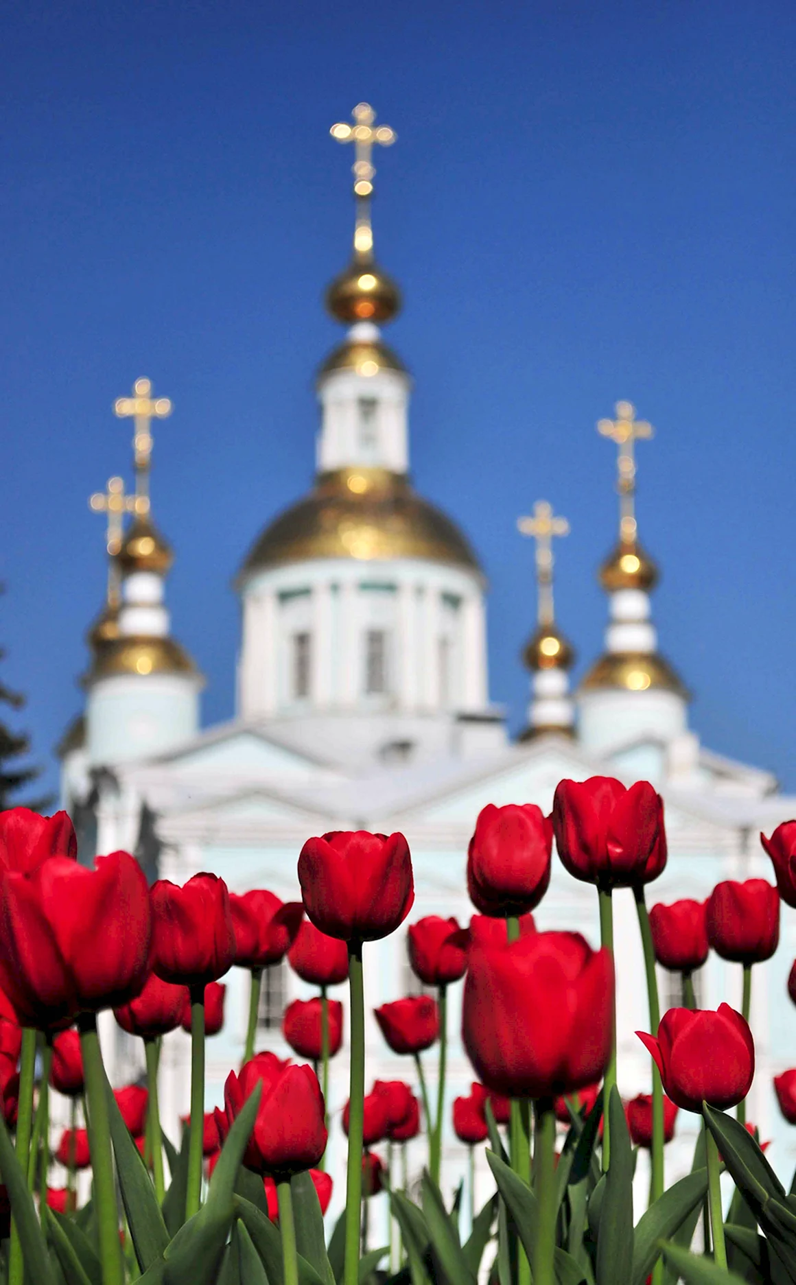 Храм весной