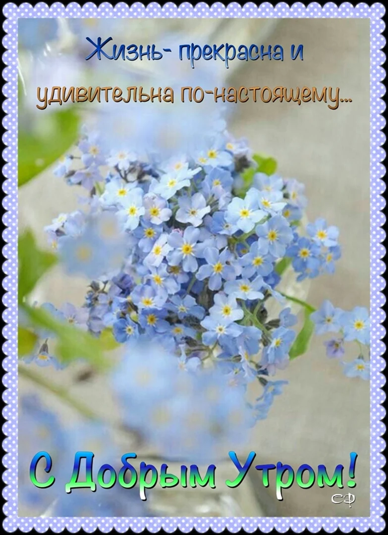 Христианские открытки христианские с молитвами