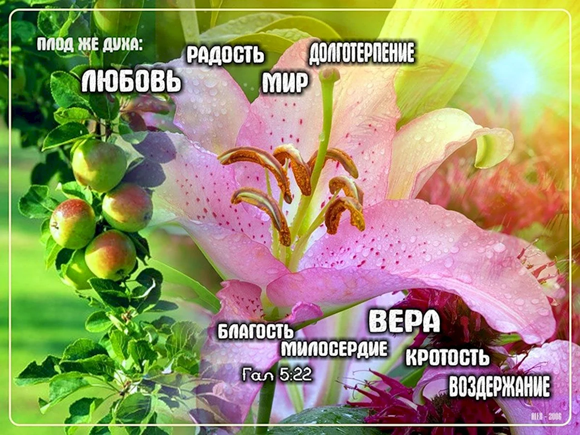 Христианские открытки со стихами из Библии