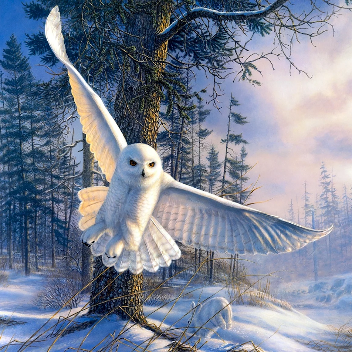 Художник James Meger