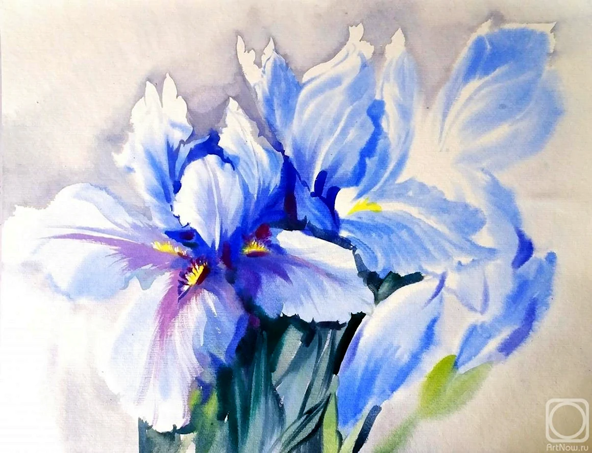 Художник к Михальская ирисы