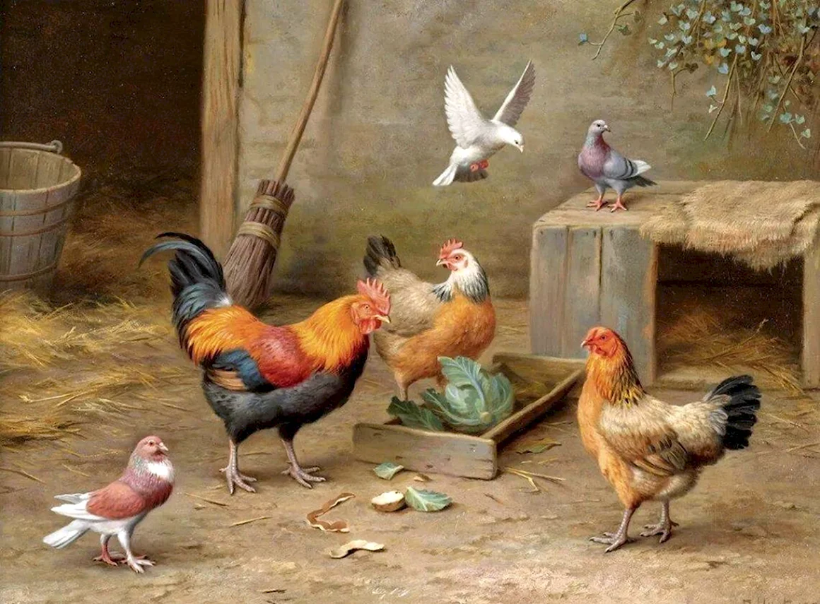 Художник куры Эдгар Хант