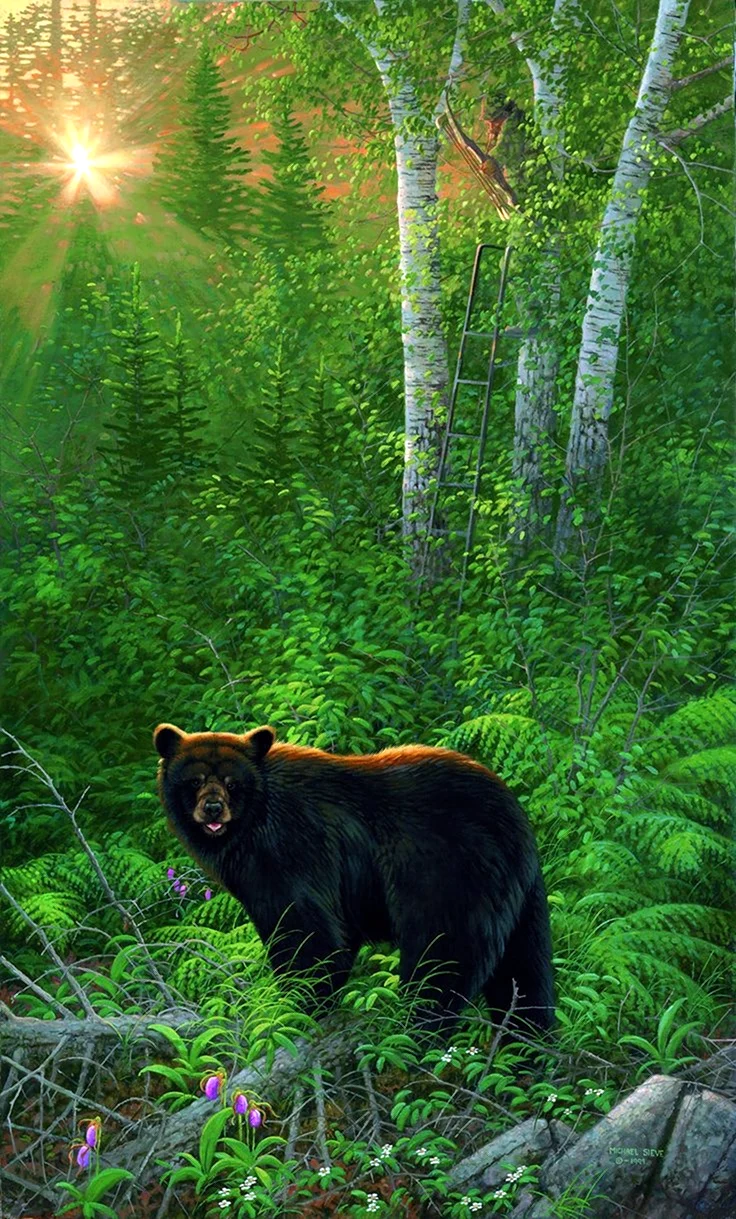 Художник Michael Sieve