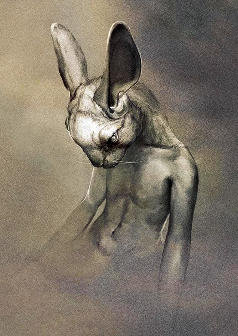 Художник Ryohei Hase кролик
