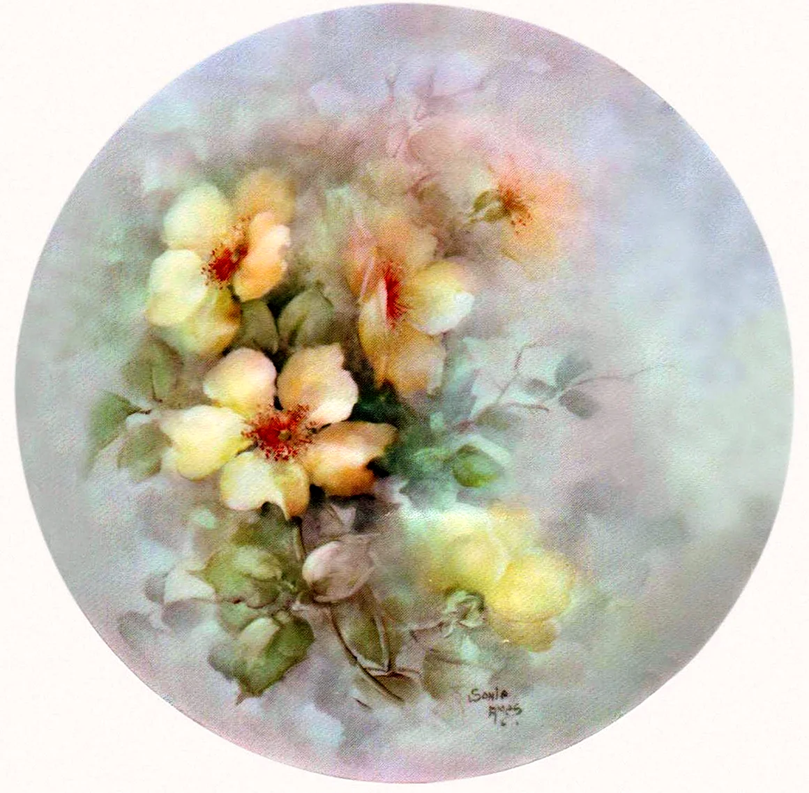 Художник Sonie Ames
