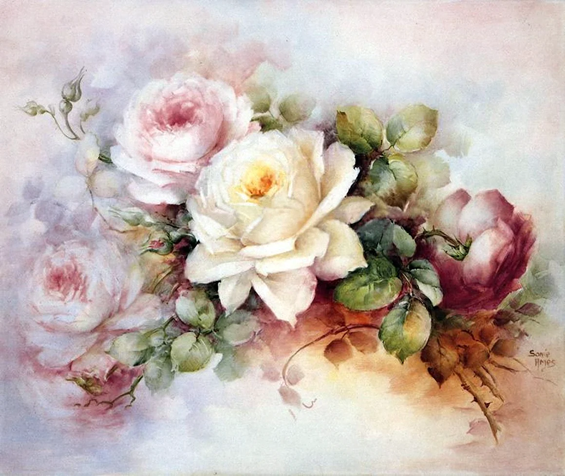 Художник Sonie Ames