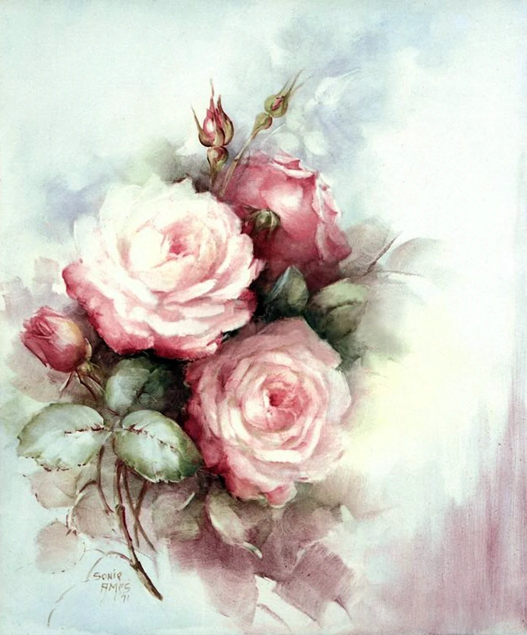 Художник Sonie Ames