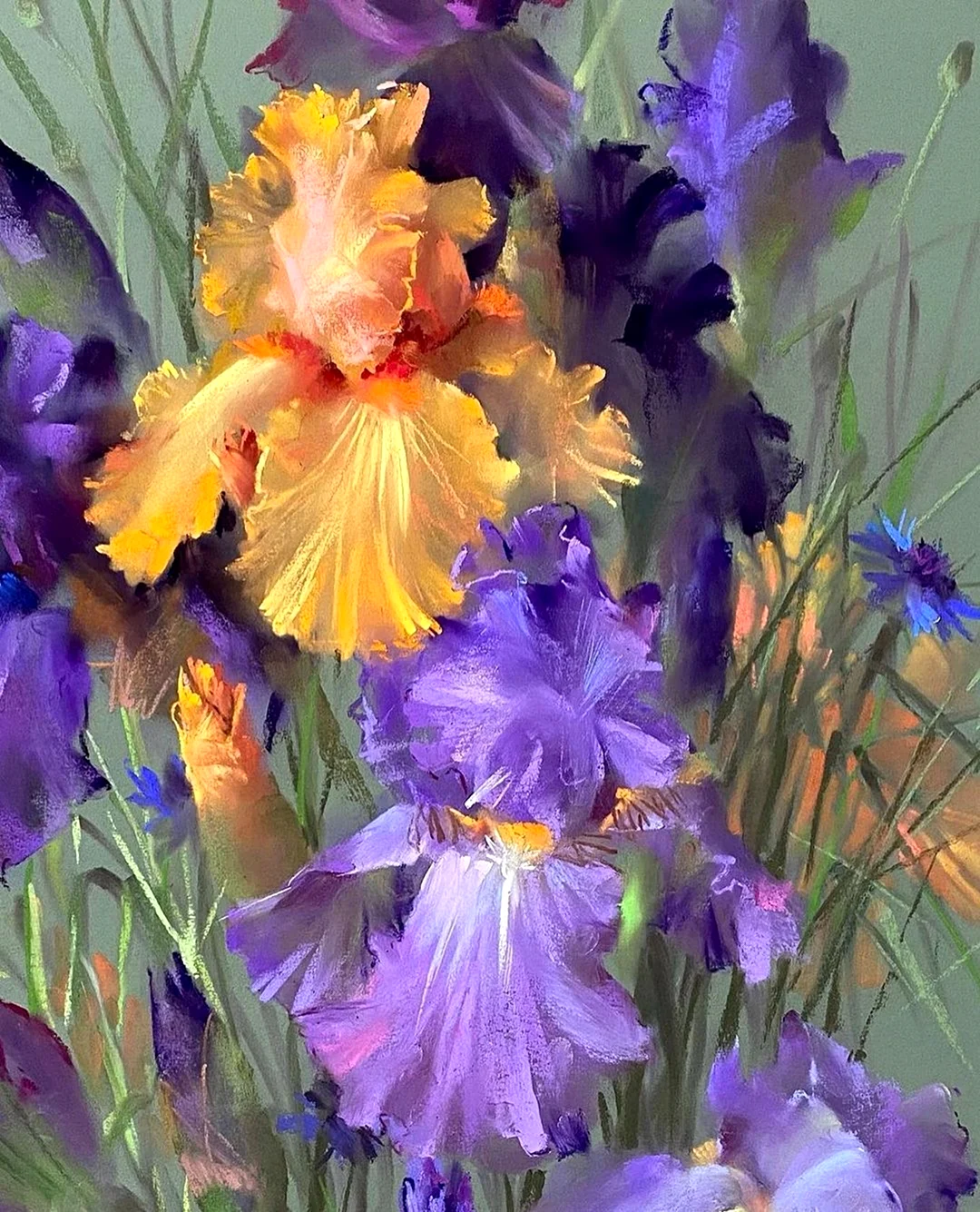 Художник Вера Кавура ирисы
