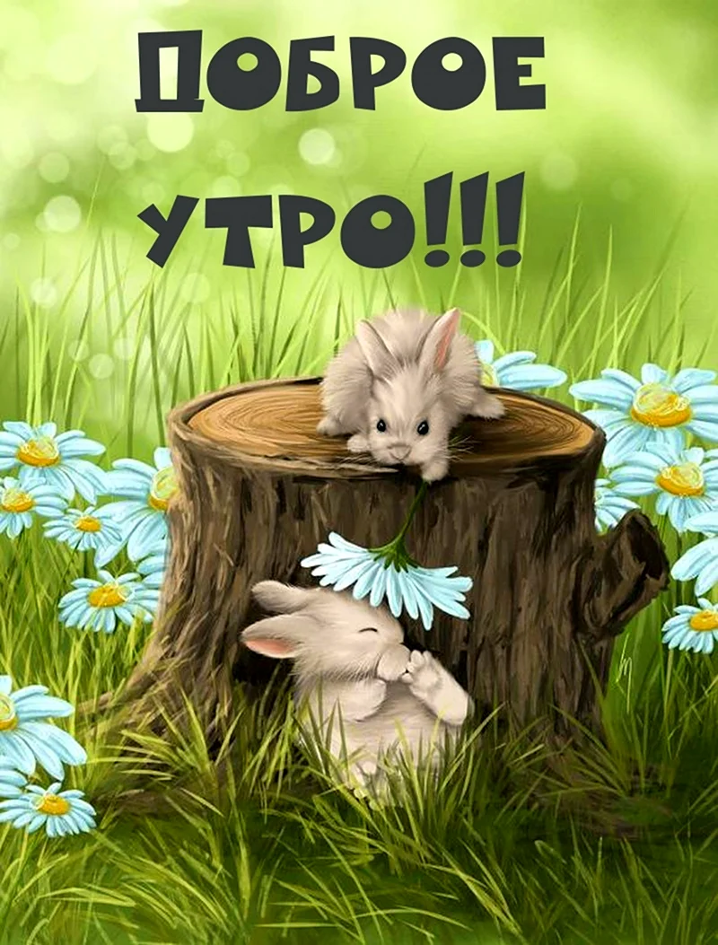 Художник Veronica Minozzi