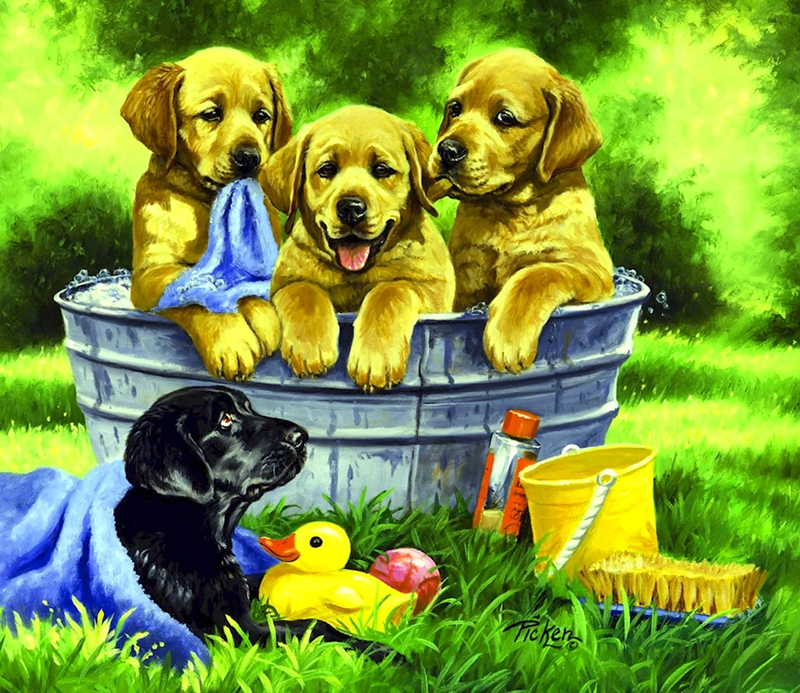 Художница Linda Picken