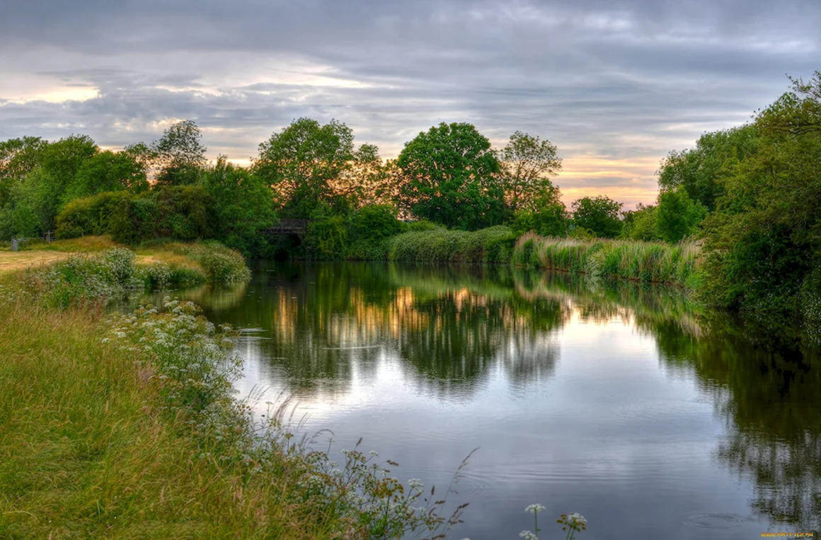 Кинель природа