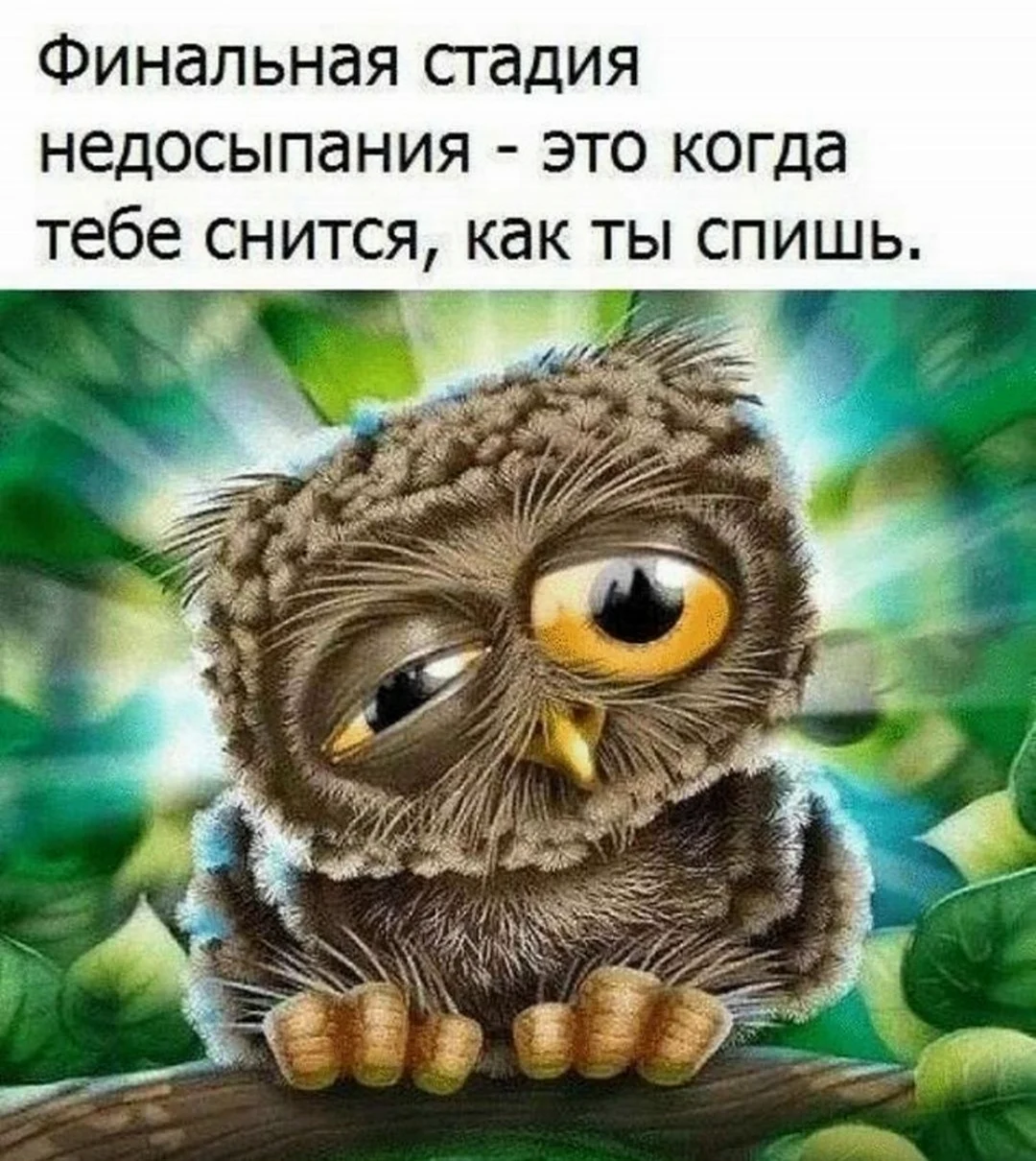 Кира Сова