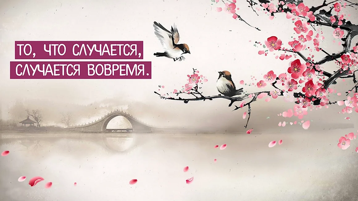 Китайская мудрость фон