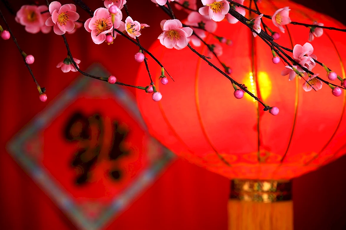 Китайский новый год Chinese New year
