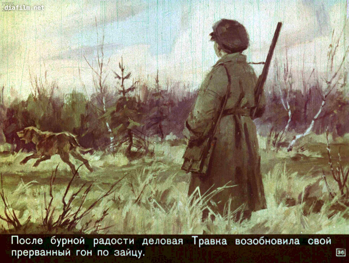 Кладовая солнца Настя