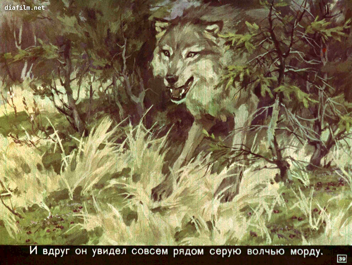 Кладовая солнца волк серый помещик