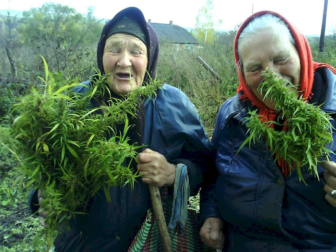 Клавдия Марихуановна