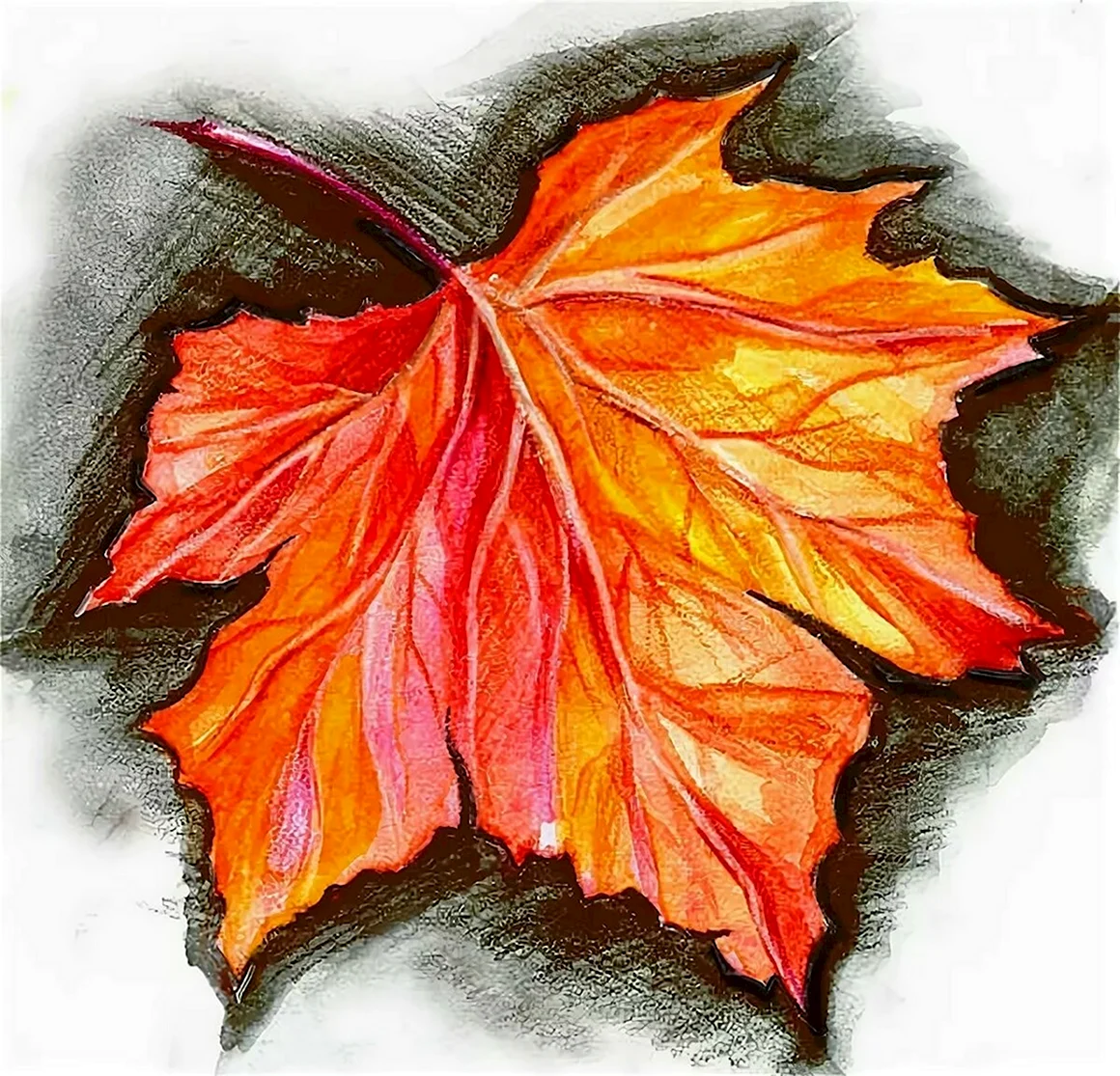 Кленовый лист рисунок