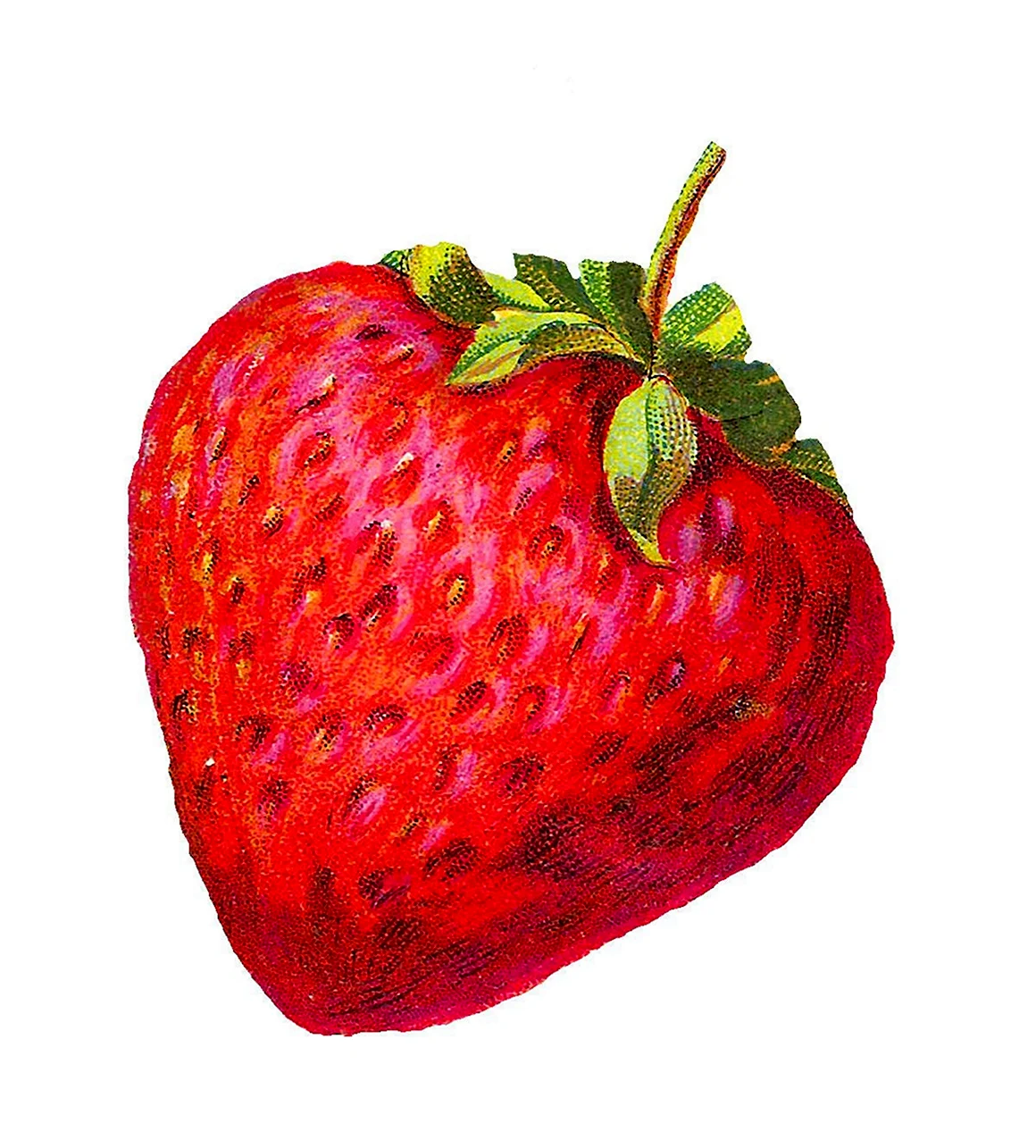 Клубника рисунок