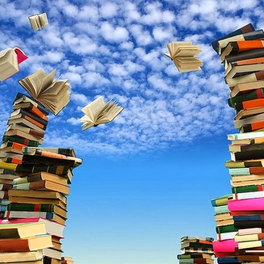 Книга библиотека